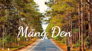 Taxi Pleiku Đi Măng Đen