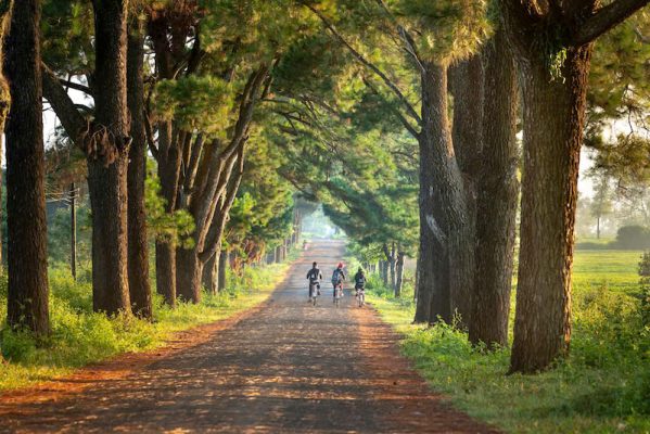 DỊCH VỤ DU LỊCH PLEIKU - KON TUM - MĂNG ĐEN